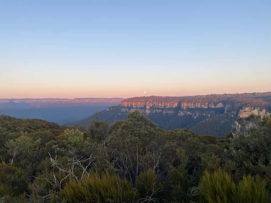 #1 Blue Mountains Tour Scenic World Waterfalls Wildlife Park - Guides make the difference