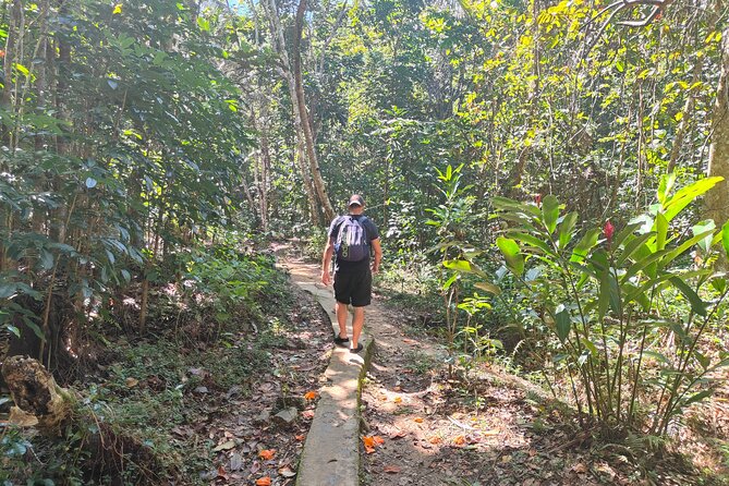 16 Lines Zipline, Cave, Hiking & Biausevu Waterfall Combo Tour - What the $182.97 price really covers