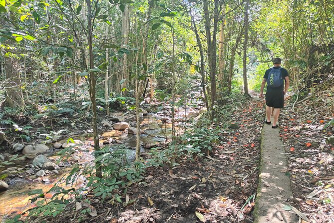 16 Lines Zipline, Cave, Hiking & Biausevu Waterfall Combo Tour - Timing, pickup, and group size