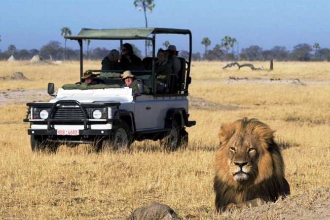 2-Day Camping Safari in Chobe National Park from Victoria Falls - Why Chobe works when Victoria Falls time is short