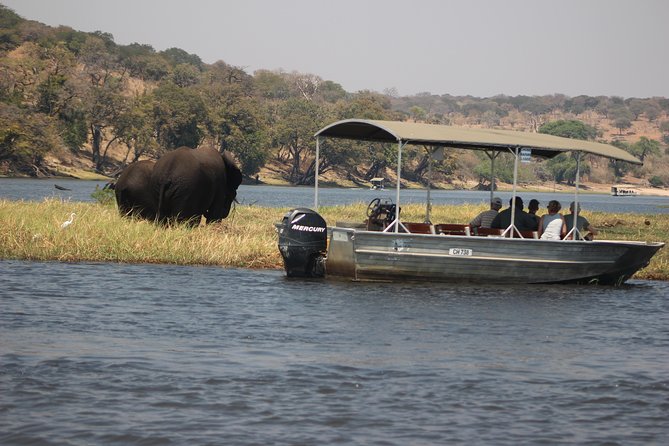 2-Day Camping Safari in Chobe National Park from Victoria Falls - Two game drives and the search for big cats