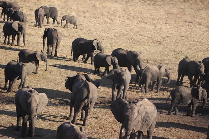 2-Day Camping Safari in Chobe National Park from Victoria Falls - A tented camp with a bush dinner