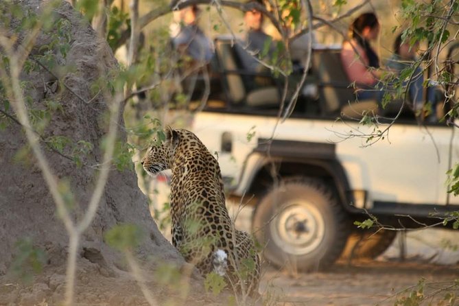 2-Day Camping Safari in Chobe National Park from Victoria Falls - Weather, clothing, and what to pack