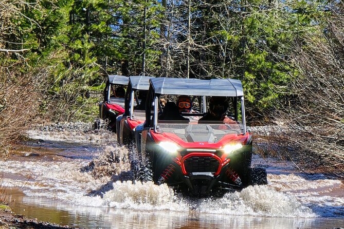 2 Hour High Cascades Scenic ATV Tour in Bend Oregon - Cache Mountain for the broad Cascade view