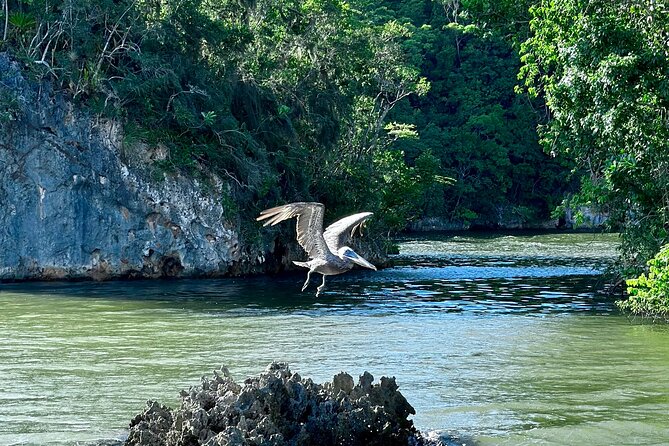 2in1: Los Haitises National Park + Yanigua Waterfall-SPA - From cacao plantations to homemade Dominican Nutella