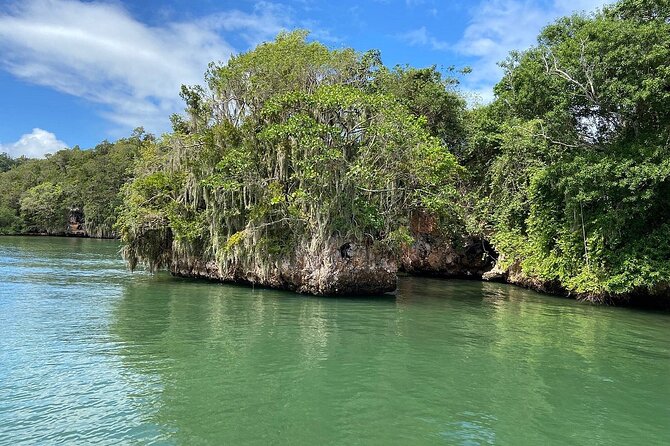2in1: Los Haitises National Park + Yanigua Waterfall-SPA - Tarzan’s treehouse and river clay skincare