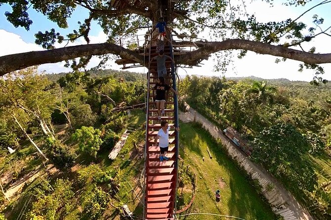 2in1: Los Haitises National Park + Yanigua Waterfall-SPA - Caves that connect you with Taino history