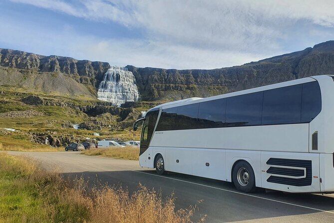 3,5-Hour Sightseeing Tour To Dynjandi Waterfall - How hard is the walk?