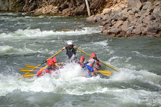 3.5 Hour Whitewater Rafting and Waterfall Adventure - Who should book this Clearwater adventure?