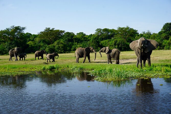 3 Days Murchison Falls Adventure Wildlife Safari Uganda Tour - Day one: Entebbe, Karuma Falls, and the first game drive