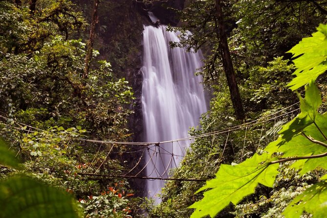 3-in-1 Monteverde Cloud Forest Waterfalls, Wild Trekking and Horseback Riding - The Downhill Hike Is the Real Workout