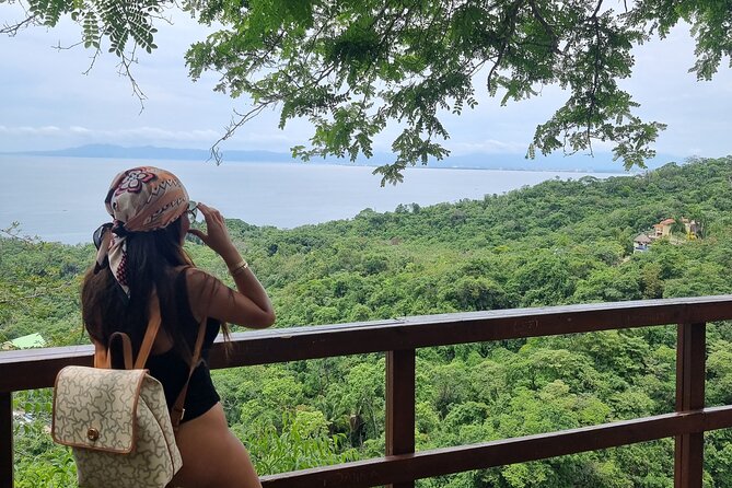 4-Hour Jungle Hike and Waterfall Swim - What the $35 price really buys