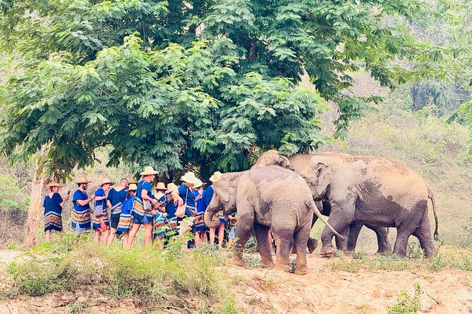 4 in 1 Elephants Long Neck Rafting and Sticky Waterfall Tour - Choosing white-water or bamboo rafting