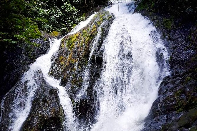 5 Hour Off-Road ATV+ Zipline+ Waterfall Rappelling+ Tractor Jungle Tour - What the $160 price really buys