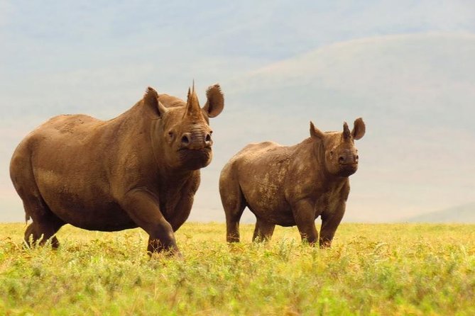 6 Days Serengeti Safari(hiking waterfalls &coffee tour) - Guides, cooks, and the human side of the trip