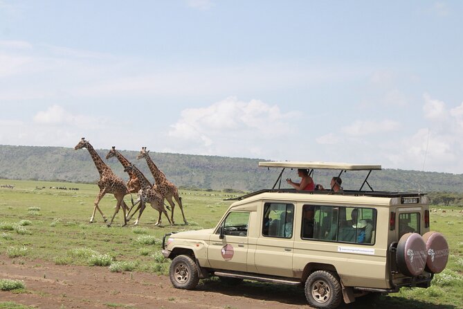6 Days Serengeti Safari(hiking waterfalls &coffee tour) - Day 1: Tarangire’s elephant country