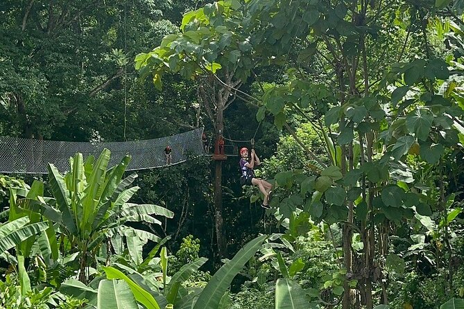7 Hour Sticky Waterfall and Zipline Adventure - Two Chiang Mai thrills in one seven-hour outing