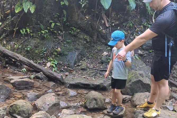 A Day of Relaxation in the Jungle and Waterfalls of Dominica - What Ketty adds to the day