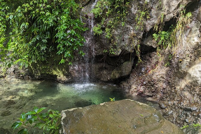 A Day of Relaxation in the Jungle and Waterfalls of Dominica - Price, group size, and what the total really means