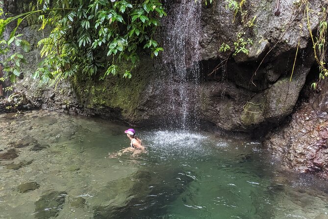 A Day of Relaxation in the Jungle and Waterfalls of Dominica - Who should book this Dominica nature tour