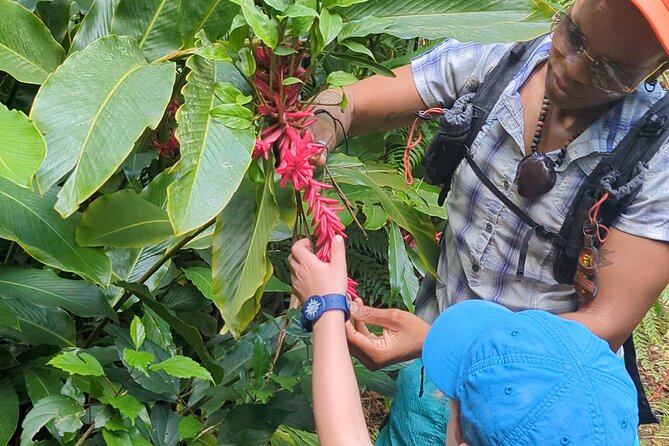 A Day of Relaxation in the Jungle and Waterfalls of Dominica - Should you book this experience?