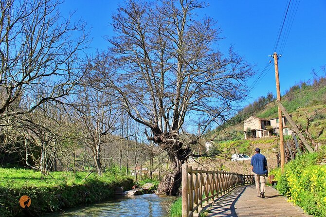 A tour between Cascades and Schist Villages, Piodão - Starting above the mountains at Nossa Senhora do Montalto
