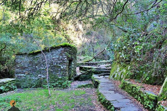 A tour between Cascades and Schist Villages, Piodão - Benfeita, a schist village beside water