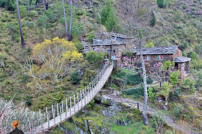 A tour between Cascades and Schist Villages, Piodão - Walking through Mata da Margaraça
