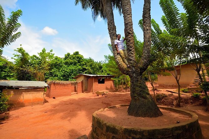 A Tour to Boti Falls - Why Boti Falls makes a worthwhile day from Accra