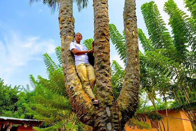 A Tour to Boti Falls - The three-headed palm and fertility rock