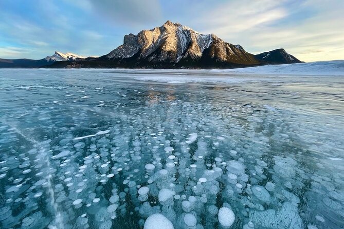 Abraham Ice Bubble/Sunwapta Falls,Snowshoeing,Icefield, Bow&Peyto - Peyto Lake is the photographic high point
