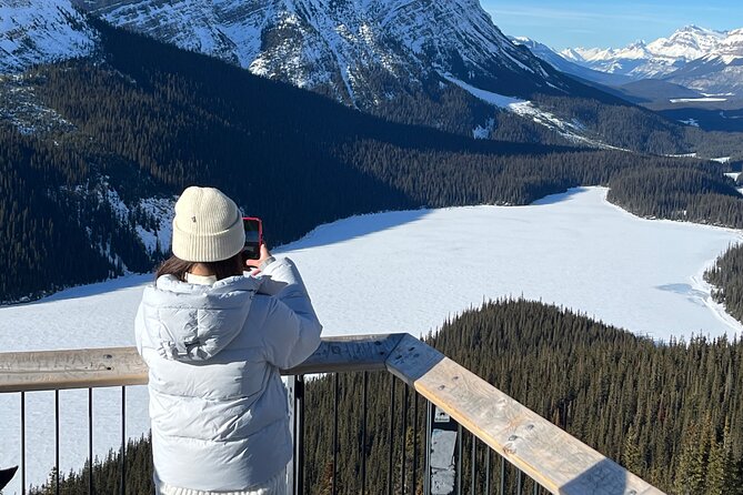 Abraham Ice Bubble/Sunwapta Falls,Snowshoeing,Icefield, Bow&Peyto - What the vehicle, guide and group size mean