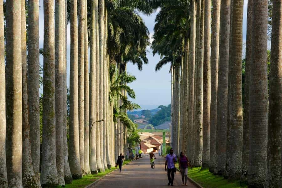 Accra Aburi Eco & Cocoa Experience: Gardens Waterfall &Lunch - From Accra to Ghana’s cocoa country