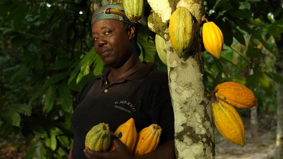 Accra Aburi Eco & Cocoa Experience: Gardens Waterfall &Lunch - Aburi Botanical Gardens and the cooler hills