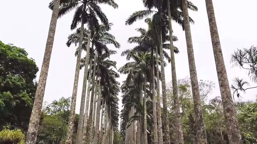 Accra: Eastern Region Waterfalls Tour - Key points to know before you go