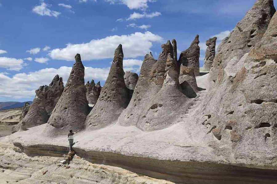 Adventure Day in Arequipa: Pillones Waterfall + Rock Forest - Salinas and Aguada Blanca: wildlife beside the road