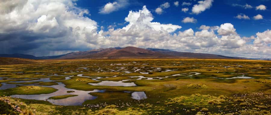 Adventure Day in Arequipa: Pillones Waterfall + Rock Forest - Puruña Rock Forest and its strange stone figures