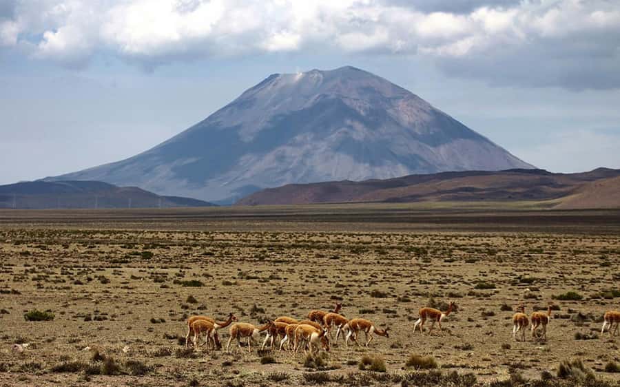 Adventure Day in Arequipa: Pillones Waterfall + Rock Forest - Who will enjoy this day most