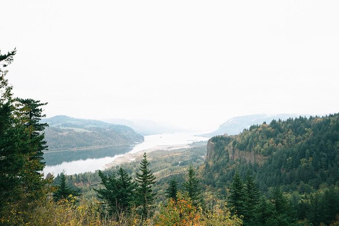 Afternoon Half-Day Multnomah Falls and Columbia River Gorge Waterfalls Tour from Portland - Why the Gorge feels so different from Portland