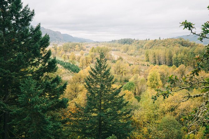 Afternoon Half-Day Multnomah Falls and Columbia River Gorge Waterfalls Tour from Portland - Horsetail Falls if the clock allows