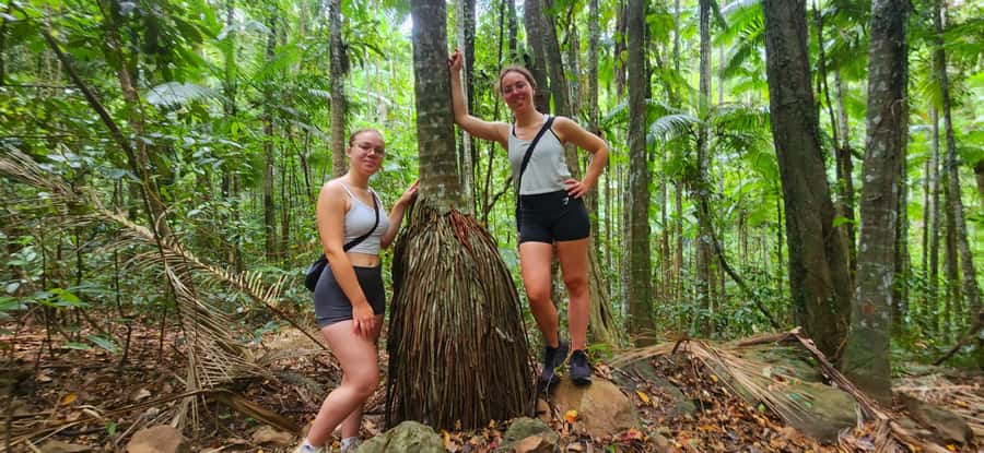 Airlie Beach: Waterfall & Rainforest Bushwalk Eco Adventure - Why Pair Conway Rainforest With Cedar Creek Falls
