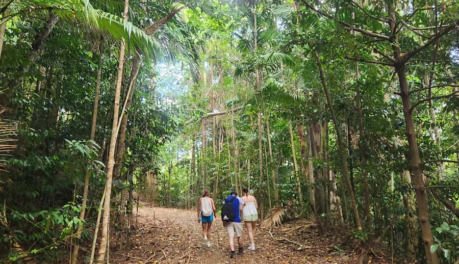 Airlie Beach: Waterfall & Rainforest Bushwalk Eco Adventure - What the Guide Adds to the Experience