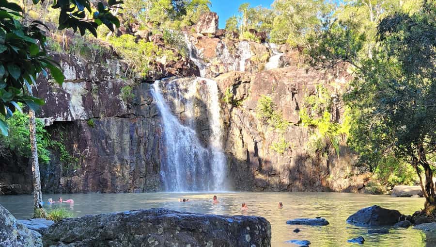 Airlie Beach: Waterfall & Rainforest Bushwalk Eco Adventure - Who Should Book This Airlie Beach Outing?