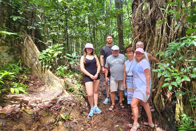 Airlie Waterfalls & Rainforest Bushwalk Eco Adventure - Why this makes a good break from Airlie Beach