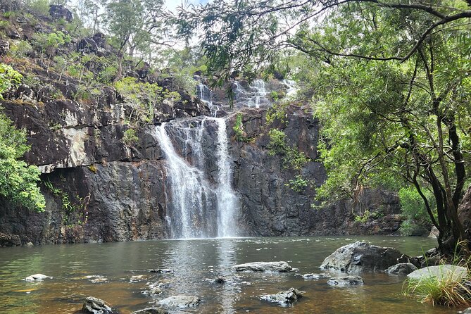 Airlie Waterfalls & Rainforest Bushwalk Eco Adventure - The guides are a major part of the outing