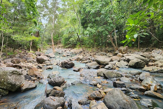 Airlie Waterfalls & Rainforest Bushwalk Eco Adventure - Who will enjoy this most