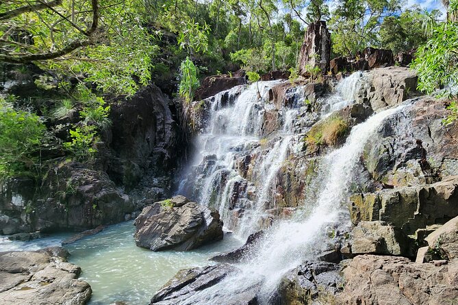Airlie Waterfalls & Rainforest Bushwalk Eco Adventure - Practical details that can shape your morning