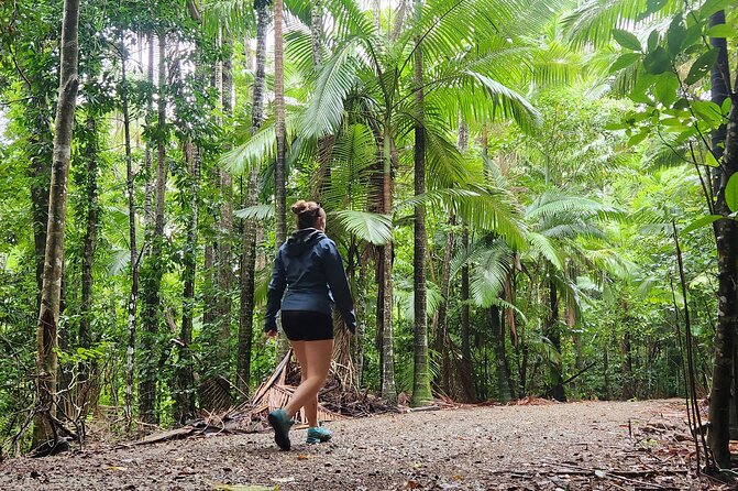 Airlie Waterfalls & Rainforest Bushwalk Eco Adventure - My verdict: a strong choice for nature and a swim