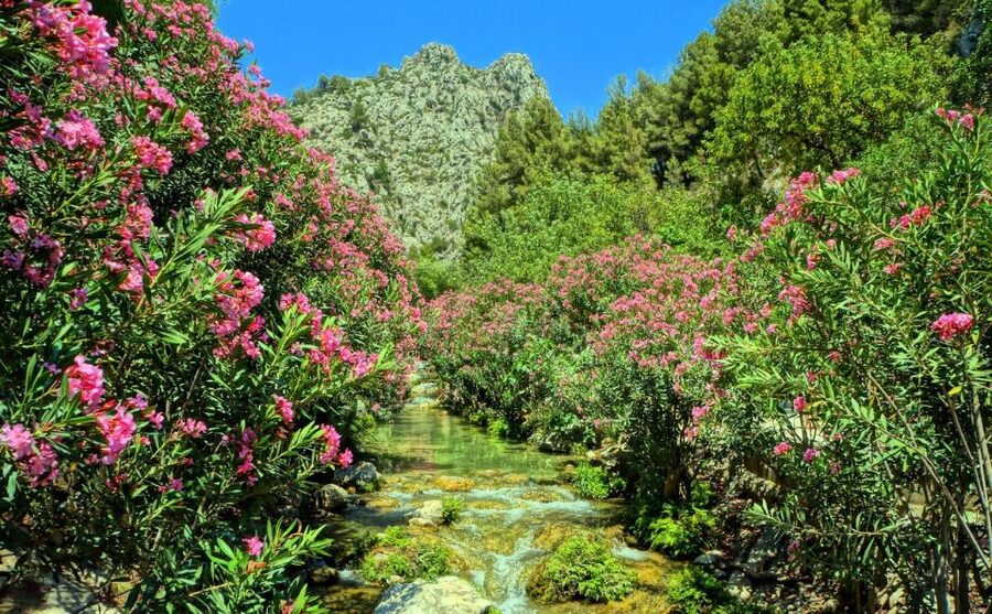 Algar Waterfalls Coach Trip - From Albir & Benidorm - Swimming in the cold mountain pools