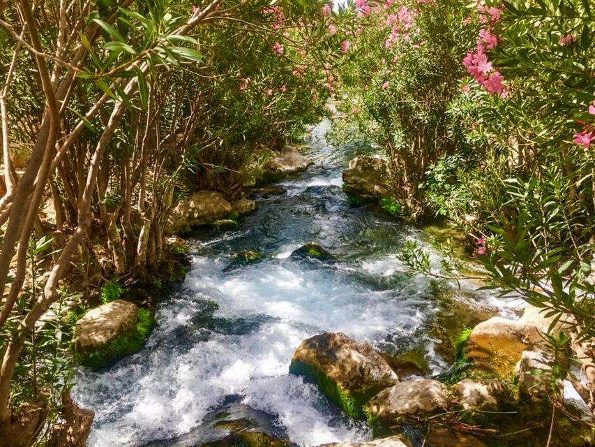 Algar Waterfalls Coach Trip - From Albir & Benidorm - Food, drinks, and the rules at the pools